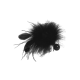 POM POM'