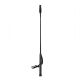 REITGERTE