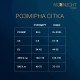 Платье-бодистокинг Moonlight Plus Model 06 XL-XXXL Black