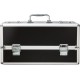 Большой кейс для хранения секс-игрушек BMS Factory Large Lokable Vibrator Case Black, кодовый замок