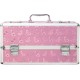 Большой кейс для хранения секс-игрушек BMS Factory Large Lokable Vibrator Case Pink, кодовый замок