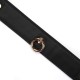 Ошейник с поводком Liebe Seele Black Organosilicon Collar with Leash, экокожа