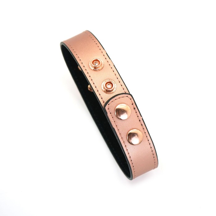 Ошейник с зажимами для сосков Liebe Seele Rose Gold Memory Collar with Nipple Clamps, кожа