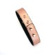 Ошейник с зажимами для сосков Liebe Seele Rose Gold Memory Collar with Nipple Clamps, кожа