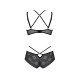 Комплект Passion DROSERA BIKINI black, L/XL, бюстгальтер и трусики-кюлоты