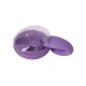 Вибратор для пар FairyGasm PleasureBerry violet, зарядный кейс, пульт ДУ