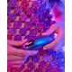 Вакуумный клиторальный стимулятор Love To Love DREAMER – IRIDESCENT NIGHT, ласки язычком, пульт